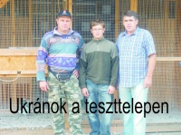 Teszttelep